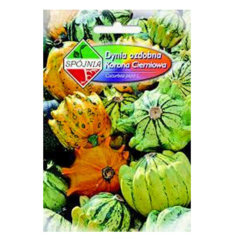 Dynia ozdobna Korona Cierniowa 1g