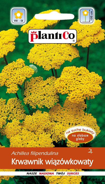 Krwawnik wiązówkowaty żółty 0,3g