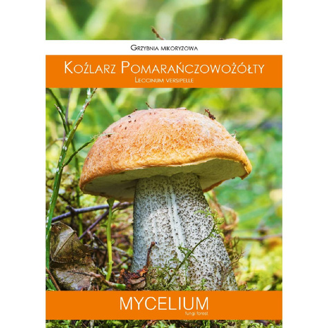 Grzybnia mikoryzowa Koźlarz pomarańczowożółty 60 ml