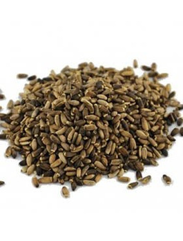 Ostropest Plamisty Owoc POLSKA 1 kg ziarna