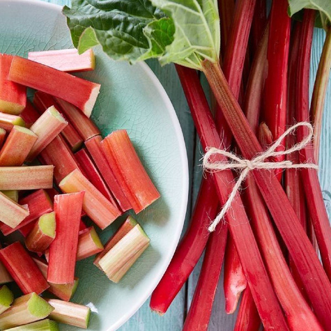 Rabarbar malinowy (C2)