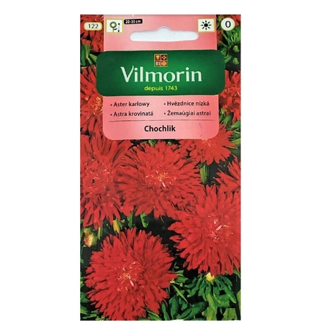 Aster chiński Chochlik 0,5g