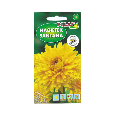 Nagietek karłowy Santana żółty 3g