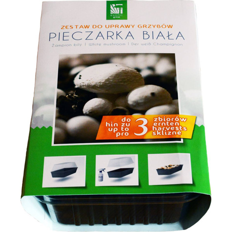 Gotowe podłoże Grzybnia Planto Pieczarka biała 3L + miniszklarenka