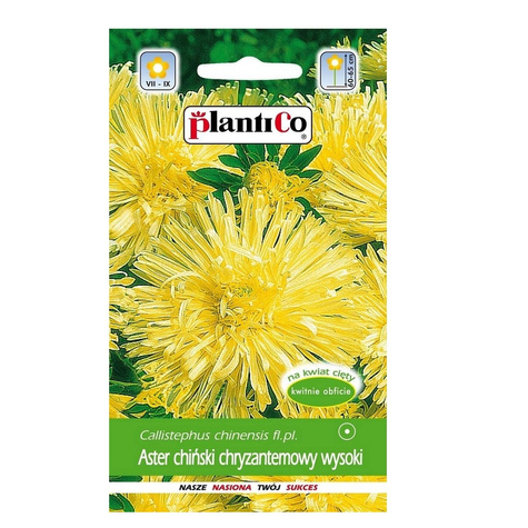 Aster chiński chryzantemowy Izabela 0,5g