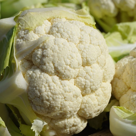 ZESTAW ALLEGRO Kalafior BORA 1g