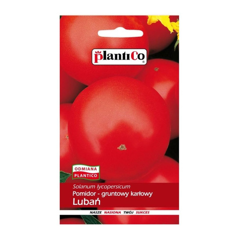 Pomidor gruntowy karłowy Lubań 10g