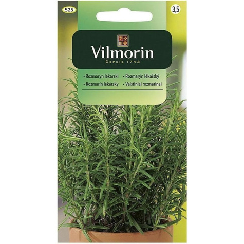 Rozmaryn lekarski 0,1g