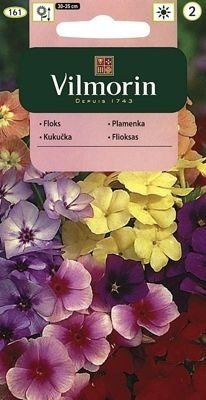 Floks Płomyk letni wielokwiatowy mix 1g