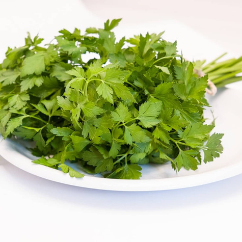 Pietruszka naciowa liściowa Natalka 5g