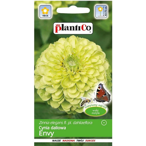 Cynia daliowa Envy 1g