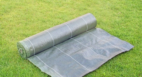 Agrotkanina Mata zielona 1x100m (94g) Polska