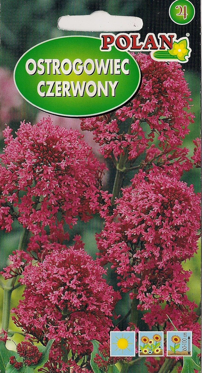 Ostrogowiec czerwony 0,3g Polan