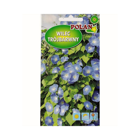 Wilec trójbarwny Heavenly blue niebieski 2g Polan