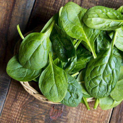 BIO Szpinak America 10g