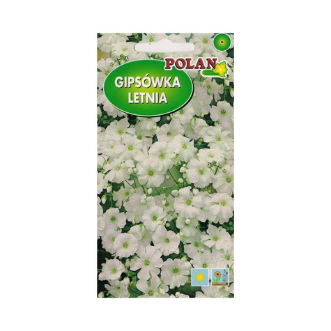 Gipsówka letnia biała 2g