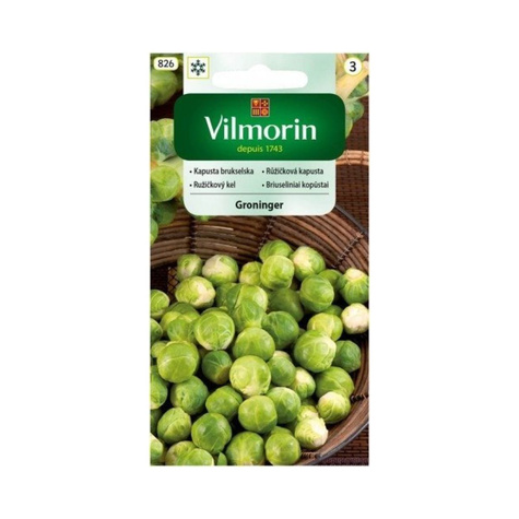 Kapusta brukselska Groninger zimująca 2g