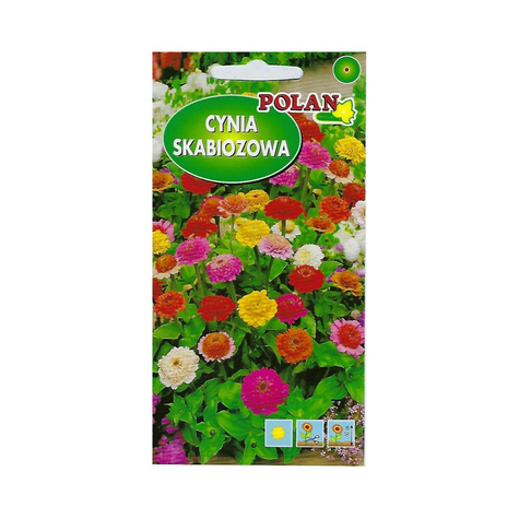 Cynia skabiozowa mix kolorów 1g Polan