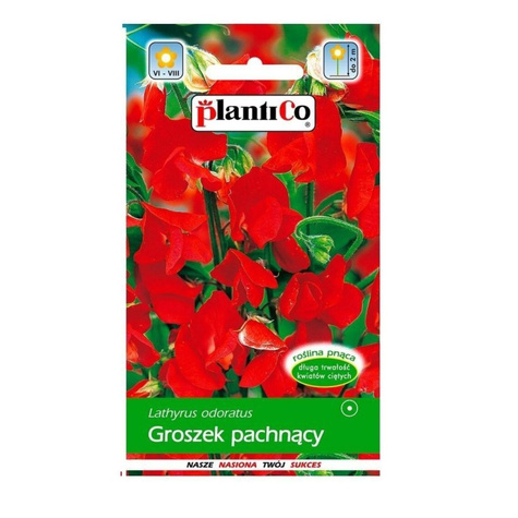 Groszek pachnący czerwony 2g Plantico