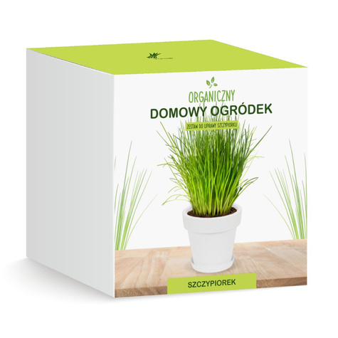 Zestaw do uprawy Szczypiorku w doniczce na parapecie