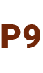Doniczka P9