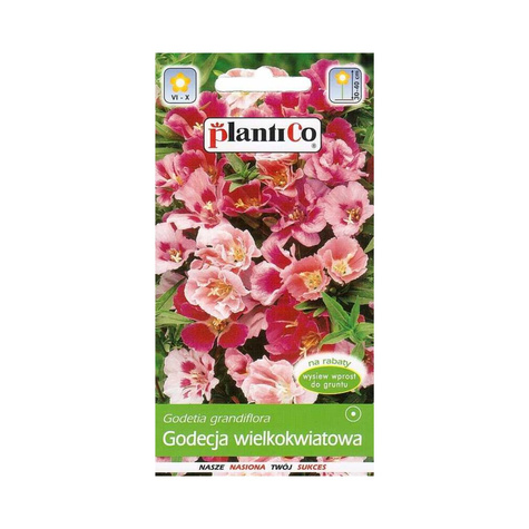 Godecja wielkokwiatowa mieszanka Plantico 1 g
