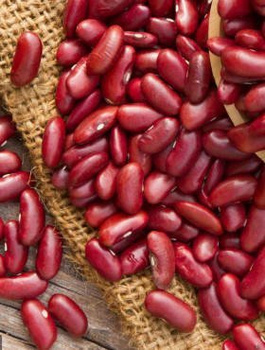Fasola szparagowa karłowa na suche nasiona Toska 500g