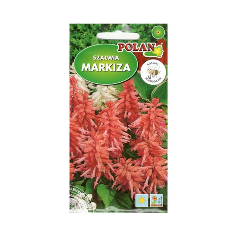 Szałwia błyszcząca Markiza malinowa 0,5g