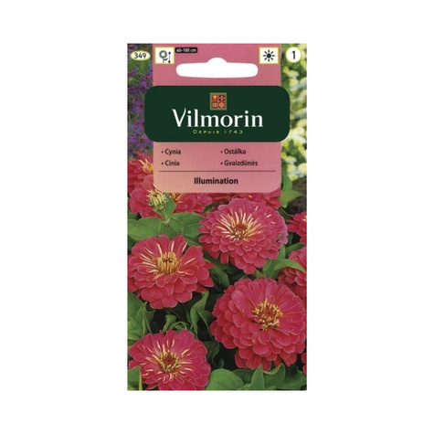 Cynia wytworna daliowa Illumination 1g