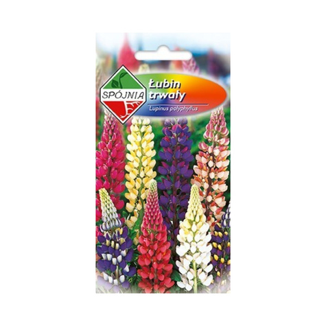 Łubin trwały mix 3g