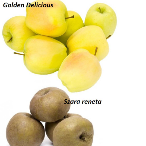 Duo Jabłoń Golden Delicious+Szara Reneta Plant Pack
