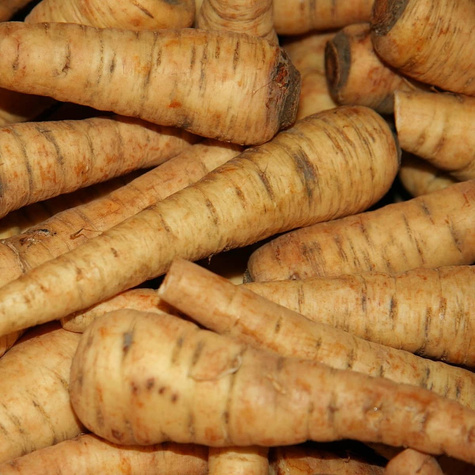 Pasternak PÓŁDŁUGI BIAŁY 5g