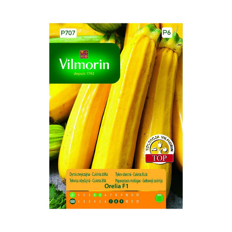Dynia zwyczajna Cukinia Orelia F1 2g