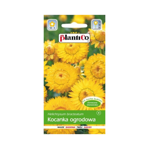 Kocanka ogrodowa żółta, Nieśmiertelnik 1 g