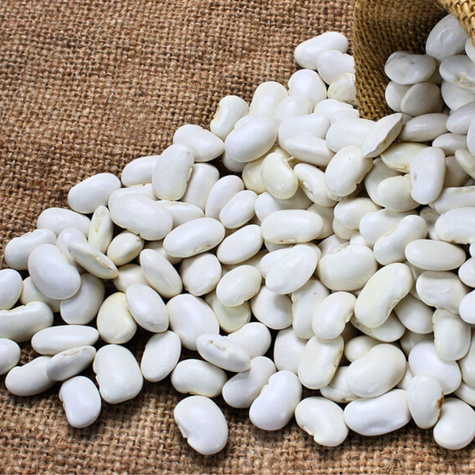 Fasola wielokwiatowa - na suche nasiona  Nata 500g