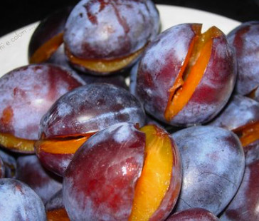 Śliwa Valor Plant Pack