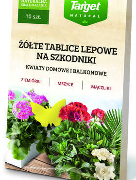 ŻÓŁTE TABLICE LEPOWE - KWIATY DOMOWE I BALKONOWE 10 SZT DO DONICZEK