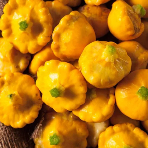 Dynia zwyczajna Patison żółta 2g