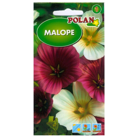 Malope, Ślezawa zestaw kolorów 2g