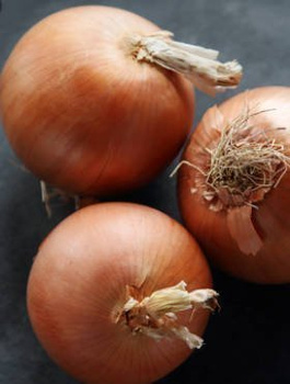Cebula żółta Tęcza bardzo wczesna 500g