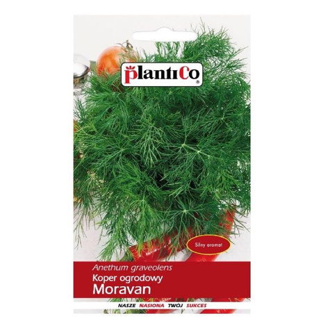 Koper ogrodowy Moravan średniopóźny 5g