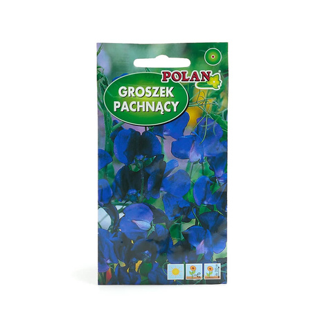Groszek pachnący niebieski 3g