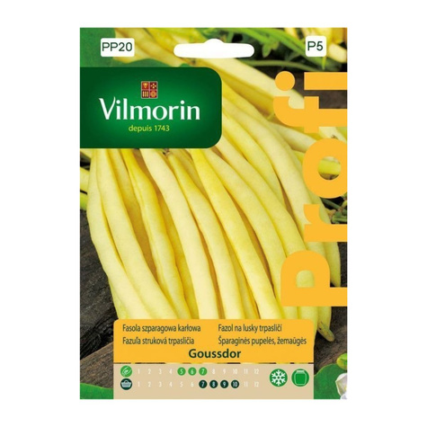 Fasola szparagowa żółta karłowa Goussdor 30g