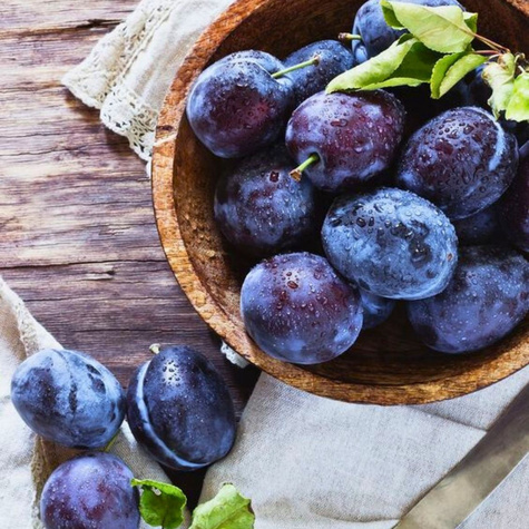 Śliwa Haroma START PACK