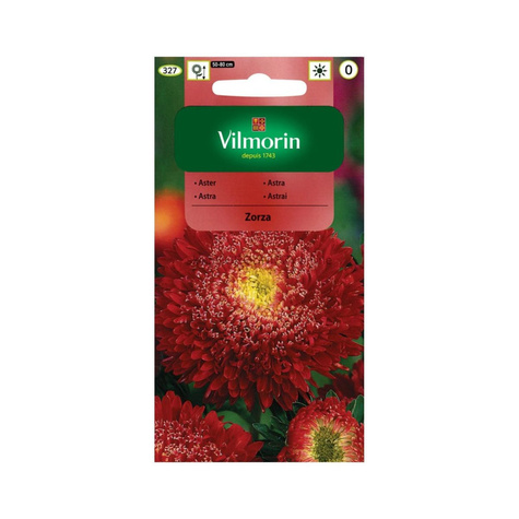 Aster chiński książęcy Zorza 0,5g