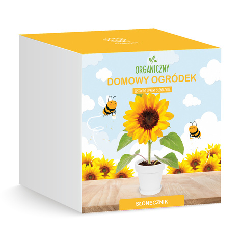 Zestaw do uprawy Słonecznik Domowy Ogródek Idealny prezent dla dziecka