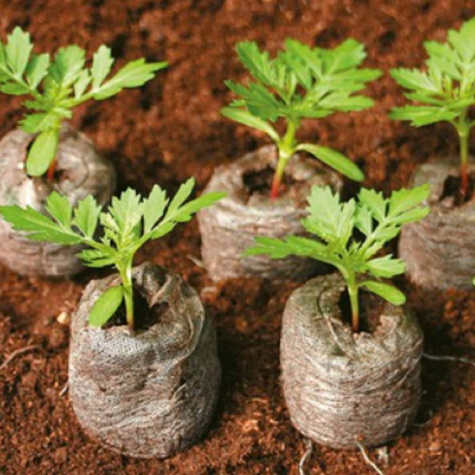 Krążki torfowe pęczniejące 27mm zestaw 10 szt.