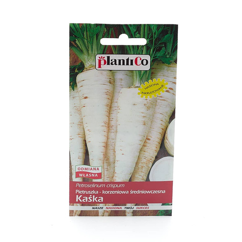Pietruszka korzeniowa Kaśka średniowczesna 5g