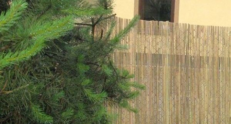 Mata bambusowa, osłonowa z listew bambusowych 1,5x3m