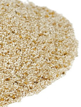 Mak BIAŁY 1 kg ziarno DUŻA PAKA rogale Świętego Marcina